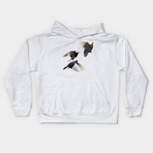 Rock Doves in Flight Kids Hoodie